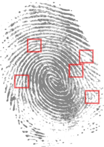 fingerprint-146242__480